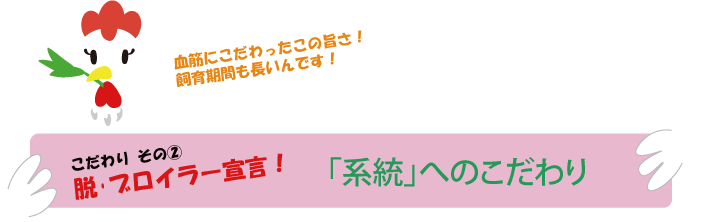 EEuC[錾I