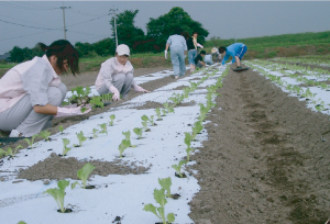 田植え・野菜苗植え体験