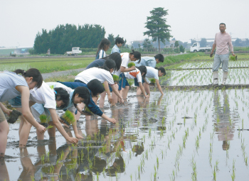 田植え・野菜苗植え体験