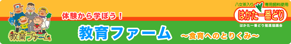 体験から学ぼう！「教育ファーム」