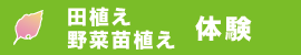 田植え・野菜苗植え体験